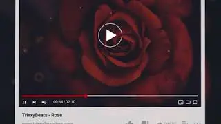 TrixxyBeats - Rose