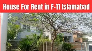 ||Ground+Basement For Rent in F-11 Islamabad||#ANEstate||03345458857