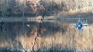 18-11-2018, Mosenberg Reihenvulkan; Windsborn Kratersee (Windsborner Loch)