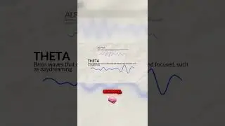 Unlocking Brain Waves  Beta  Alpha  Theta & Delta Explained!