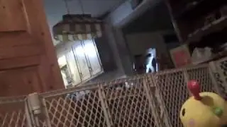 Video 55