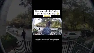 Black people don&rsquo;t play around with dogs 😂. They don&rsquo;t even know each other 🤣 #Laughs #Jokes #Dogs
