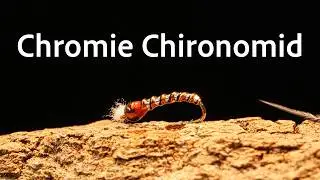 How to tie the Chromie Chironomid | Fly Tying Tutorial