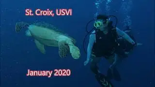 Diving in St. Croix USVI 2020