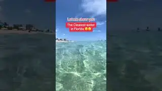 Crystal Clear Water of Singer Island 🏖️