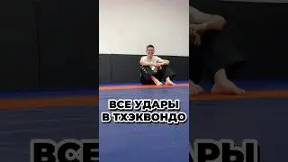 ДО КОНЦА! ВСЕ УДАРЫ В ТХЭКВОНДО 🔥