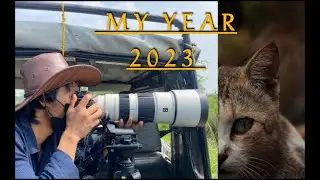 My Year 2023