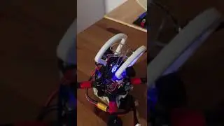 Emax 1106 Damaged Motor?