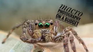 DIY Diffuser for Built-in camera flash  
