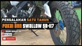 Review Ban Swallow SB 117