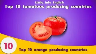 top 10 tomato world's top exports 2020