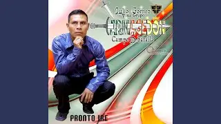 Te Amo