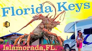🌴 Islamorada, Florida Unveiling the Hidden Wonders of Florida Keys Paradise! 🐠 @ohmaitravels7829
