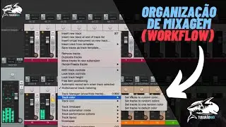 Organiza&ccedil;&atilde;o de Mixagem no Reaper ( Workflow )