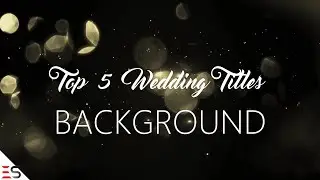 Free - Top 5 Wedding Titles Video Background | Free Download After Effects Template