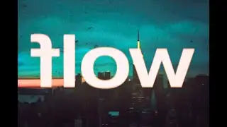 Flow - Reverse Wolf