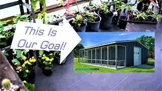 So Many NEW Crazy Plants To Help Raise Money For Rescued Birds
