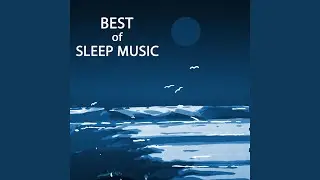 Sleep Background Music with Gentle Birds and Forest Stream Sounds of Nature White Noise
