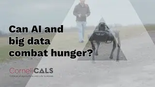 Faculty Research Spotlight: Can AI and big data combat hunger?