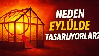 Akıllı Bah&ccedil;ıvanlar Seralarını Neden Eyl&uuml;lde Tasarlar? Adan Zye Kapsamlı Bir Plan.