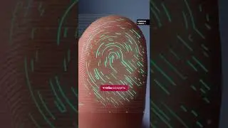 Румыния и другие страны ЕС начинают использовать Систему въезда-выезда на границах Шенгенской зоны.
