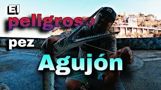 Capturamos este peligroso ejemplar / pesca en Acapulco 