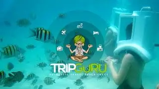 TRIP GURU Best Activities &ndash; Sea Walking Tour, Koh Samui, Thailand