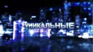 WORLDTOP 2012   ЕДИНСТВО ЖИВОЙ ВСЕЦЕЛОСТНОСТИ - другая музыка