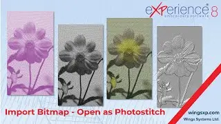 Как преобразовать растровые изображения в вышивальные схемы PhotoStitch