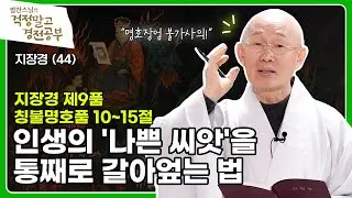 [법안스님] 