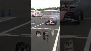 Ferrari Had a Very Ferrari Race 😭 #f1meme