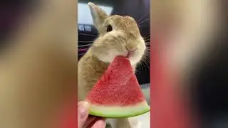 most overlooked beautiful moments in life