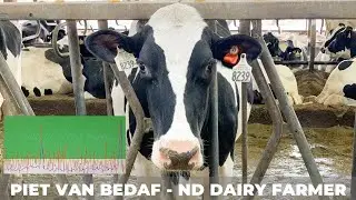 Breeding Program for Dairy Cattle (29)