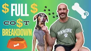 The BEST Dog 🐕 Food You Can Buy- FULL Cost💲Breakdown