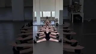 Наш новый онлайн курс #dance #dancescience #danceschool #dancer