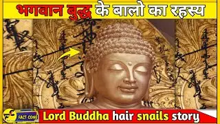 Why does Buddha have snails on his head? | भगवान बुद्ध के बालो का रहस्य | Fact Cone  |#shorts