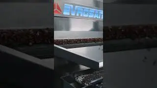 Hazelnut Roasting Machine #nutroastingmachines #hazelnut #foodindustry #engineering