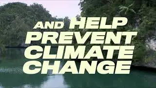 Save the Sharks