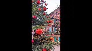 This European City Looks Like Something From a Fairytale this Christmas 🎄