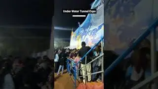 Under Tunnel Fish Aquarium #vizag #Fishes #fish #beach #vishakhapatnam.