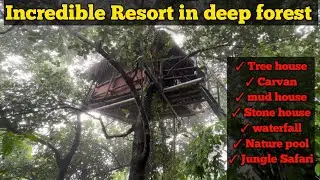 Discover the Mysterious Tree House in the Heart of the Deep Forest |Best tree house in kerala