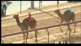 1345402778 clip
