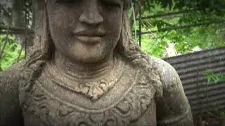 Natural Trip Teaser V1