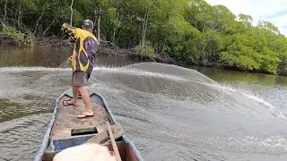 ACERTAMOS NO PRIMEIRO LANCE DE TARRAFA UM CARDUME DE PEIXES. Com direito a pirão na beirada 🥘🍲🕸️🔝🐠🌞
