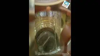 Maqam Ibrahim | Makkah | learning point
