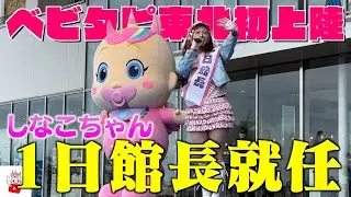 しなこちゃん仙台初上陸！！仙台うみの杜水族館とベビタピコラボで1日館長就任！！