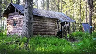 I LIVE ALONE WITH MY DOG IN A LOG CABIN. THE BEAR GOT INTO THE MAN'S DWELLING.