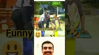 😂 El Lobo Divertido Prank Reaction | Funniest Wolf Prank Ever! | Must Watch 🤣 #shorts #funny #pranks