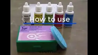 Sperm DNA Fragmentation Assay Kit (SDFA)
