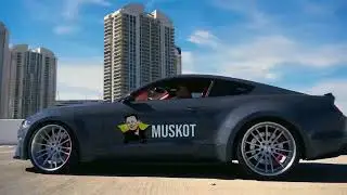 Elon Musk Token  -  Our Future